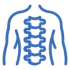 spine
