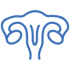 uterus